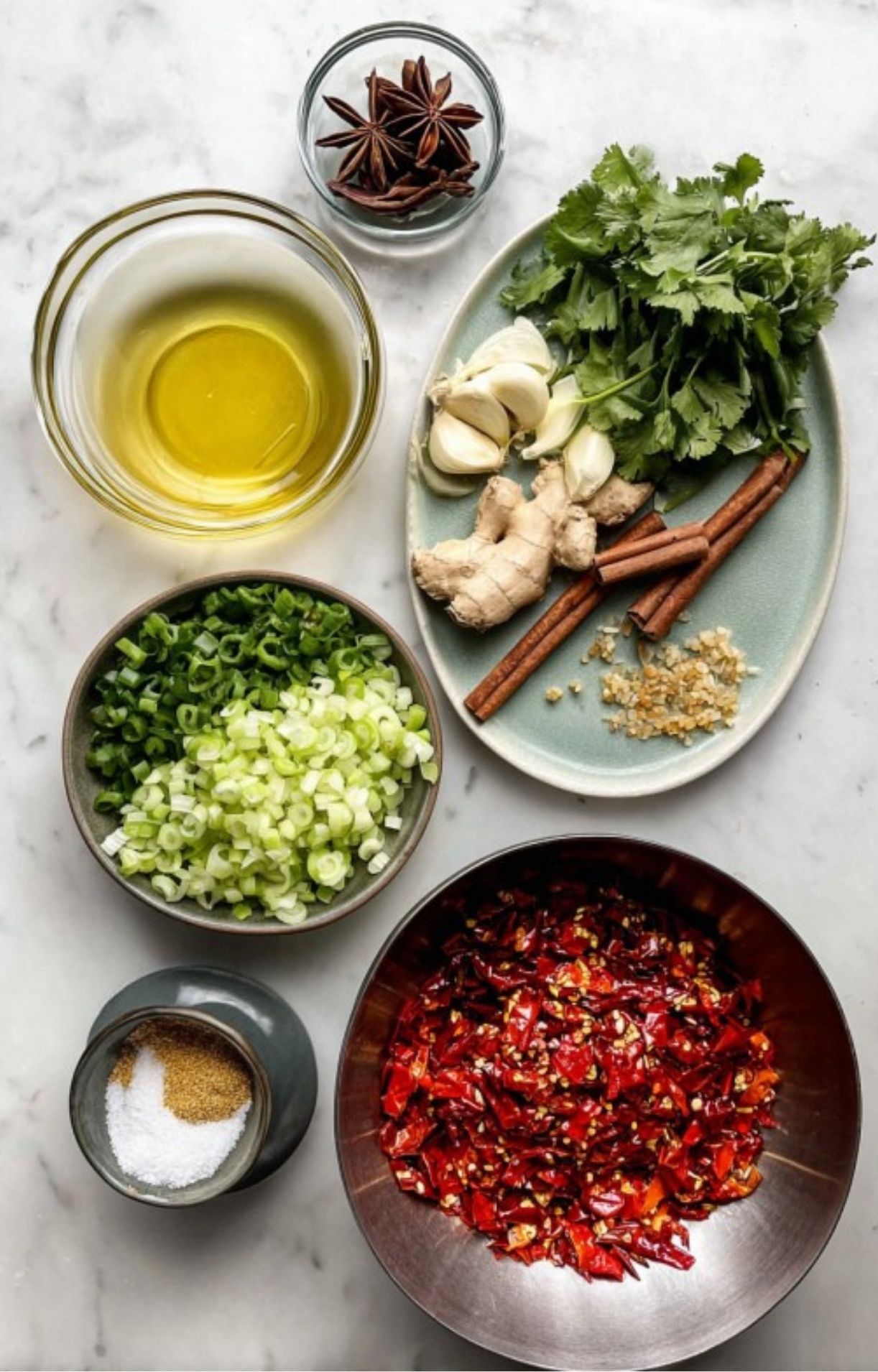 Overhead shot of essential Asian chili sauce ingredients including fresh herbs, dried chilies, garlic, ginger, green onions, cinnamon, star anise, and oil.