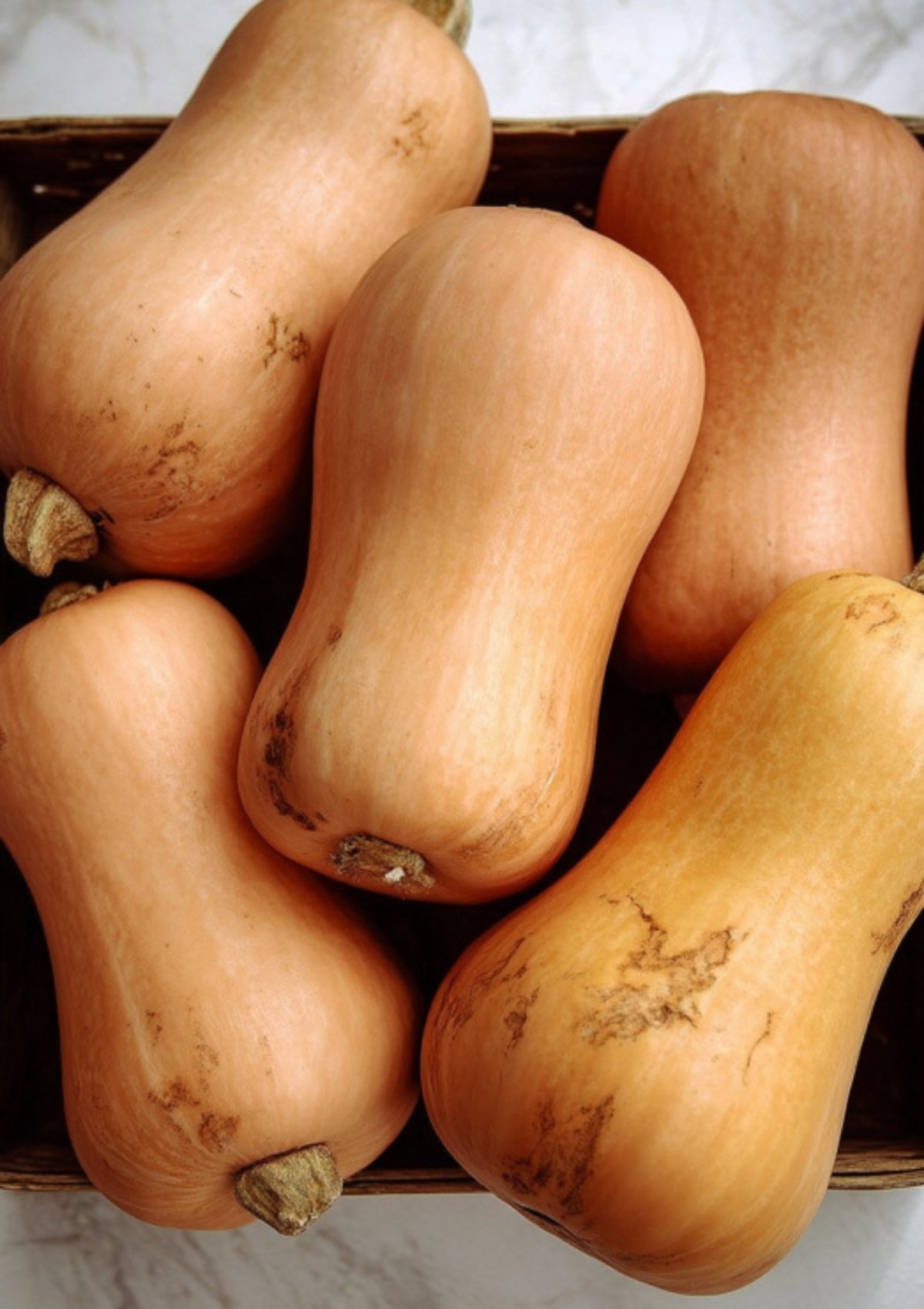 A group of fresh butternut squash in a basket, showing their tan skins and classic hourglass shape, ideal for roasting or making soup.