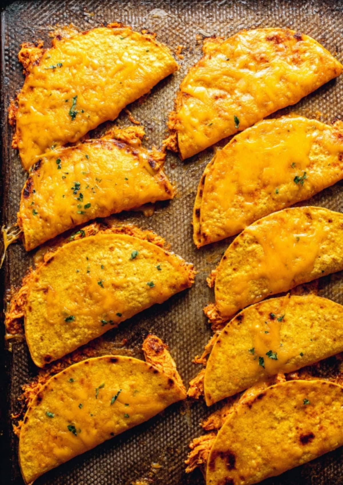 Tray of baked buffalo chicken tacos with melted cheddar cheese and crispy golden shells.
