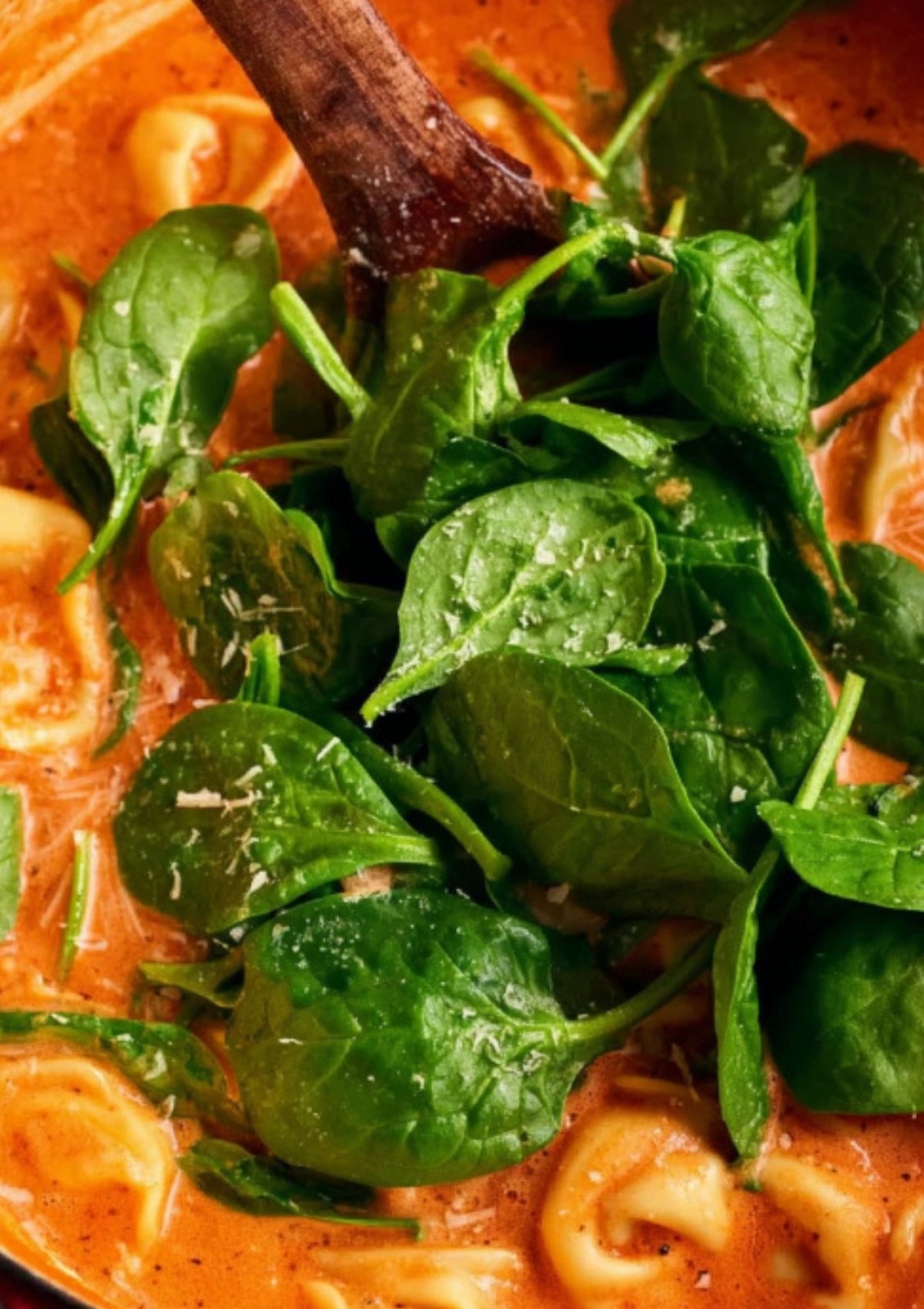 Fresh spinach being stirred into a pot of creamy tomato tortellini soup, highlighting vibrant greens and creamy tomato sauce.