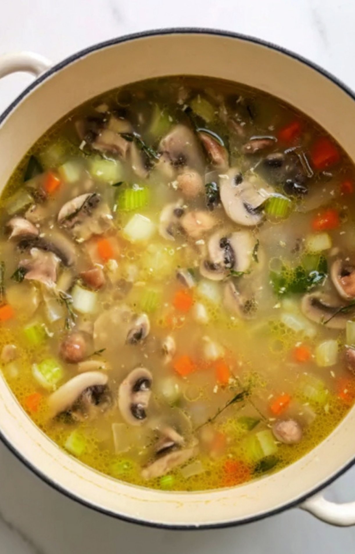 A pot of vegetable soup with mushrooms, leeks, potatoes, carrots, and herbs simmering in broth. A healthy, French-inspired soup for spring and garden fresh meals.