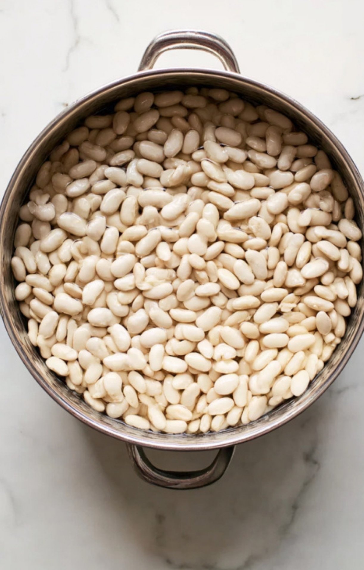 A pot of soaked and drained white beans, the key ingredient for a true cassolette recipe, perfect for building a hearty and rustic French casserole.