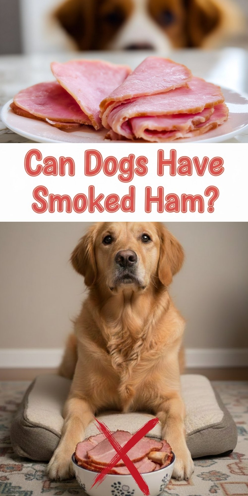 A golden dog sitting behind a bowl of smoked ham marked with a large red X, with sliced ham shown on a plate above.