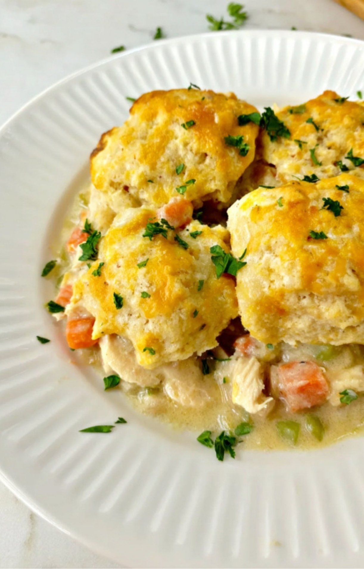 A close-up shot of a plate featuring a portion of keto turkey pot pie with a fluffy, cheesy biscuit top and creamy turkey filling.