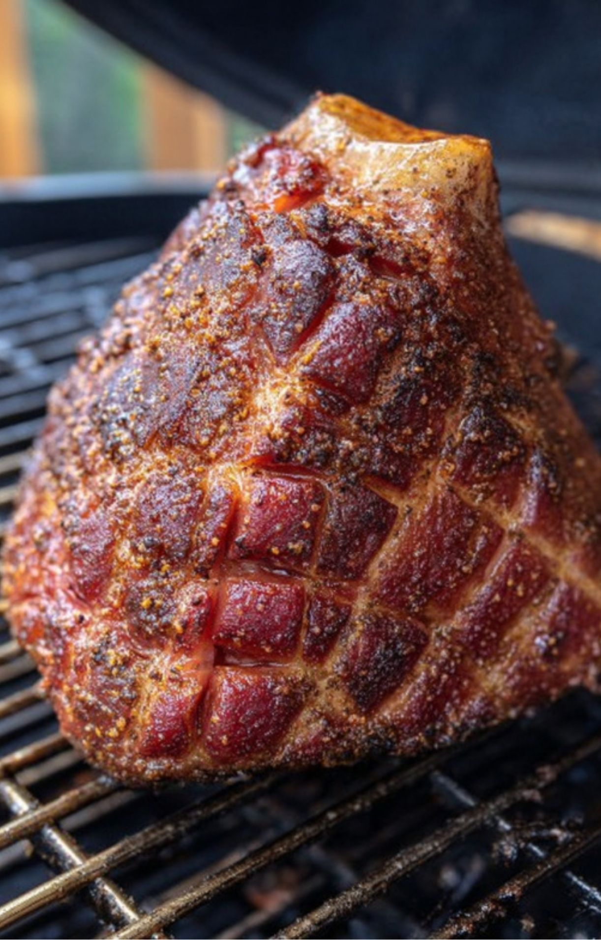 Bone-in ham shank slow smoking on a grill for pulled ham