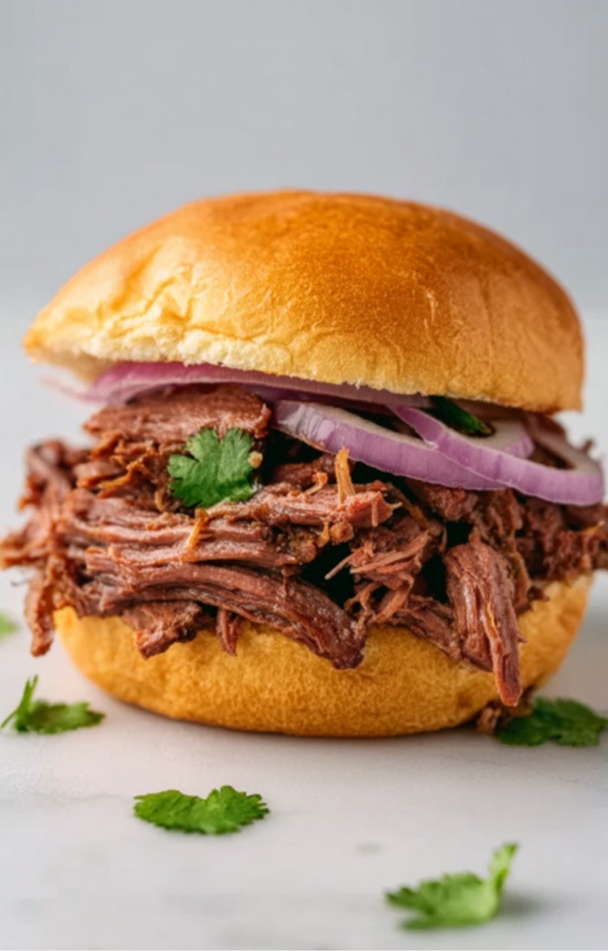 A toasted brioche bun loaded with shredded smoked chuck roast, pickled red onions, and fresh cilantro.