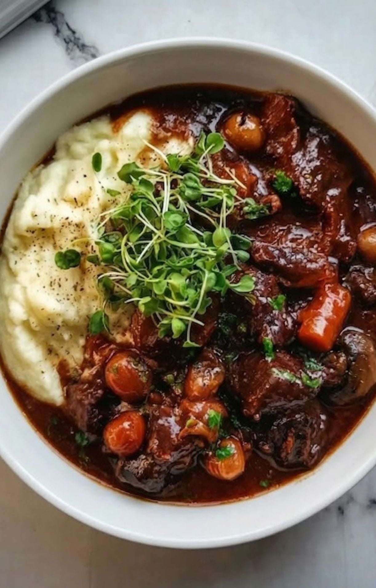 A white bowl filled with rich beef stew served alongside creamy mashed potatoes and topped with fresh microgreens.