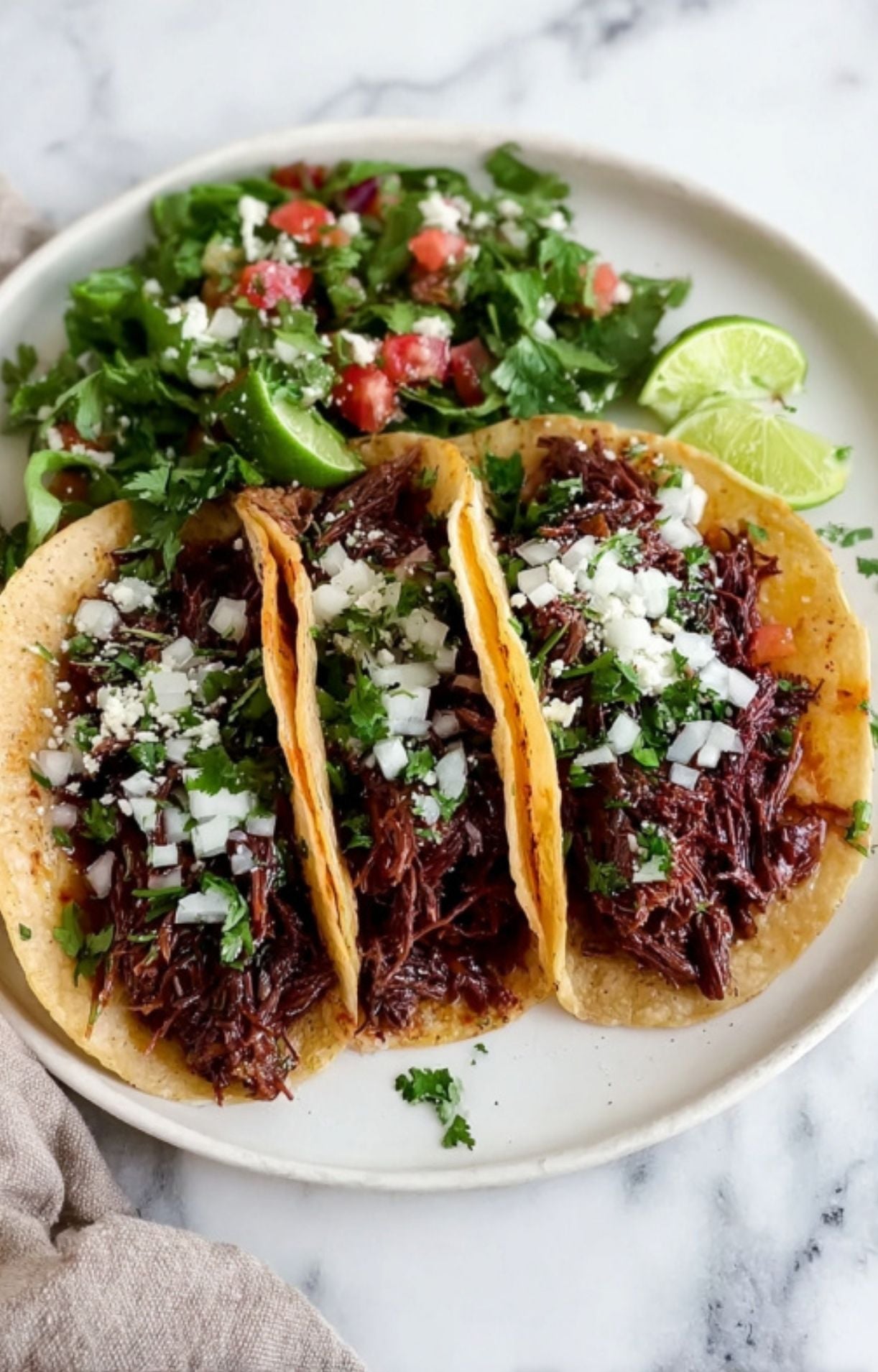 Three corn tortillas stuffed with shredded Beef Cheek Barbacoa, topped with diced white onions, cilantro, and cotija cheese, served with a side of tomato and herb salad.
