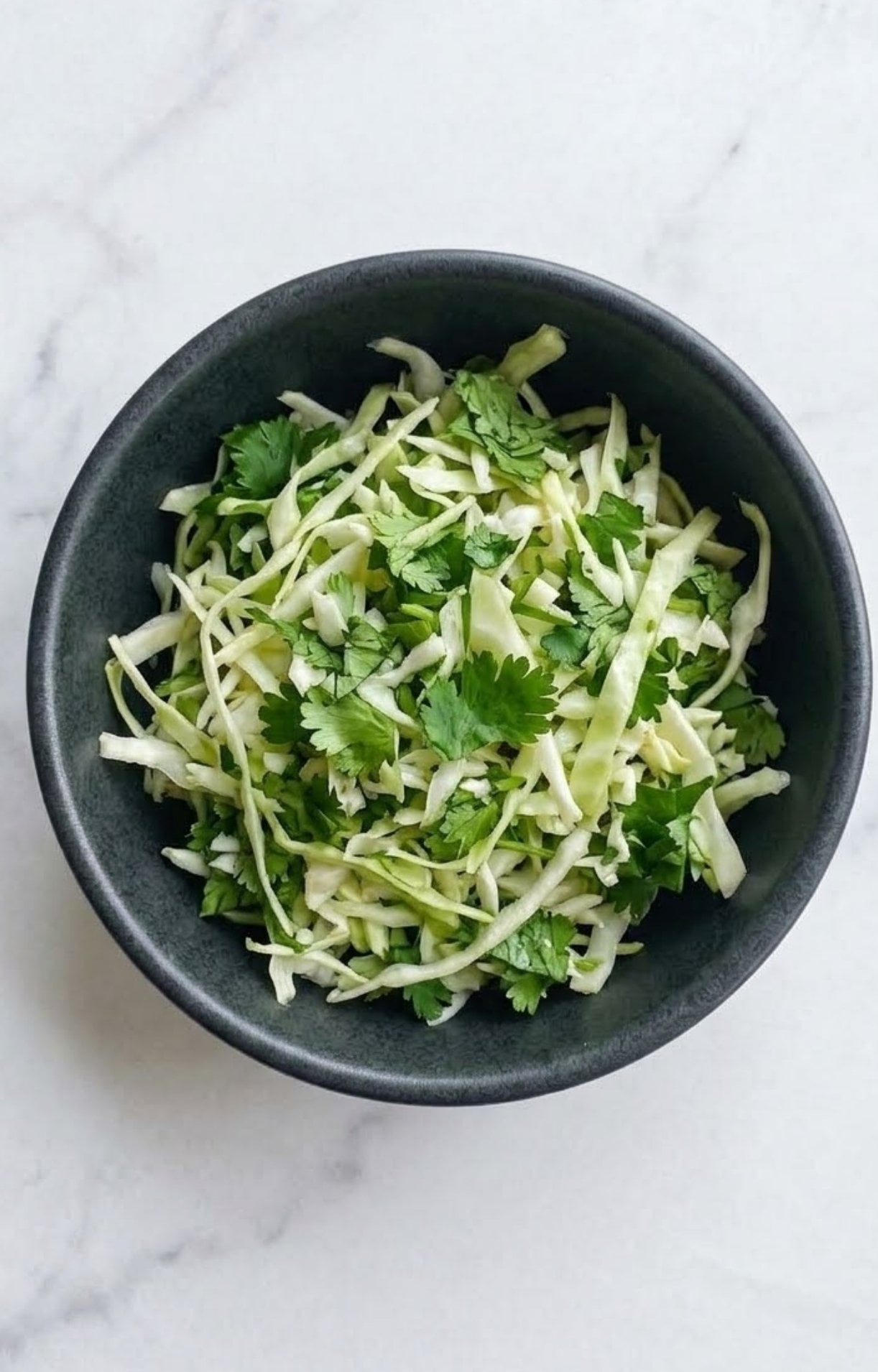A top-down view of a black bowl filled with shredded green cabbage and chopped fresh cilantro on a white marble surface.
